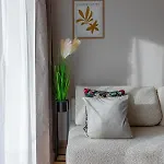 Daj Sobie Spokoj Belle View *